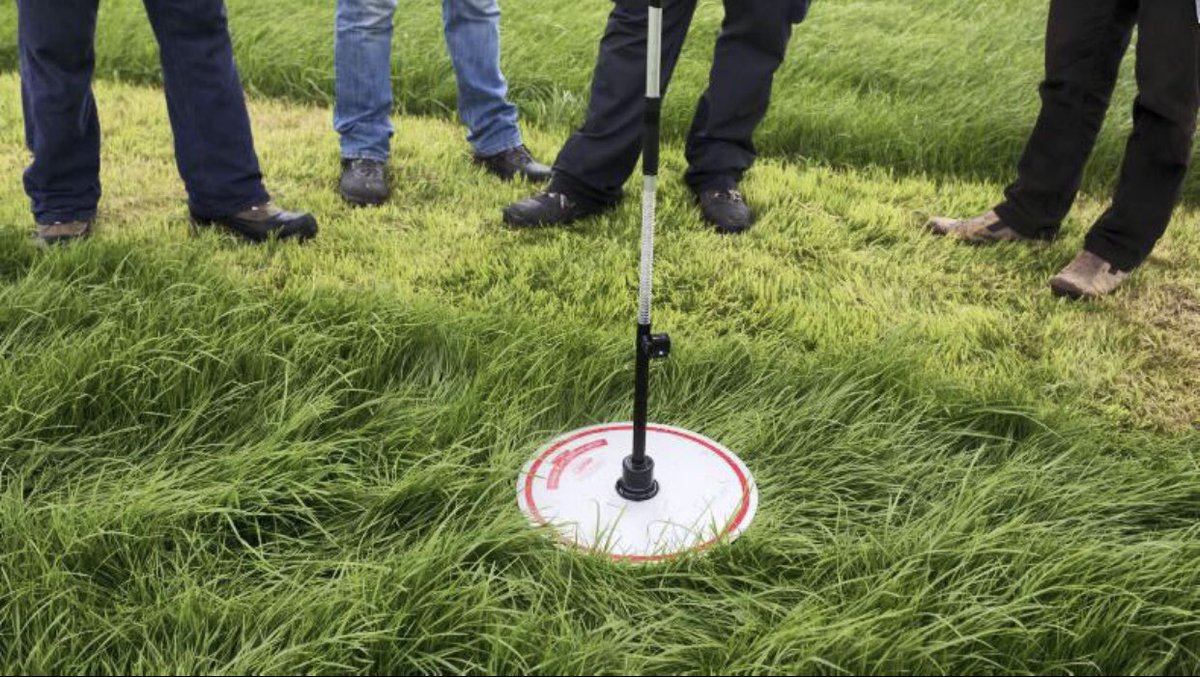 SRyanServices's tweet image. Get the most out of every blade of grass #platemeter #LandAgHort2020
