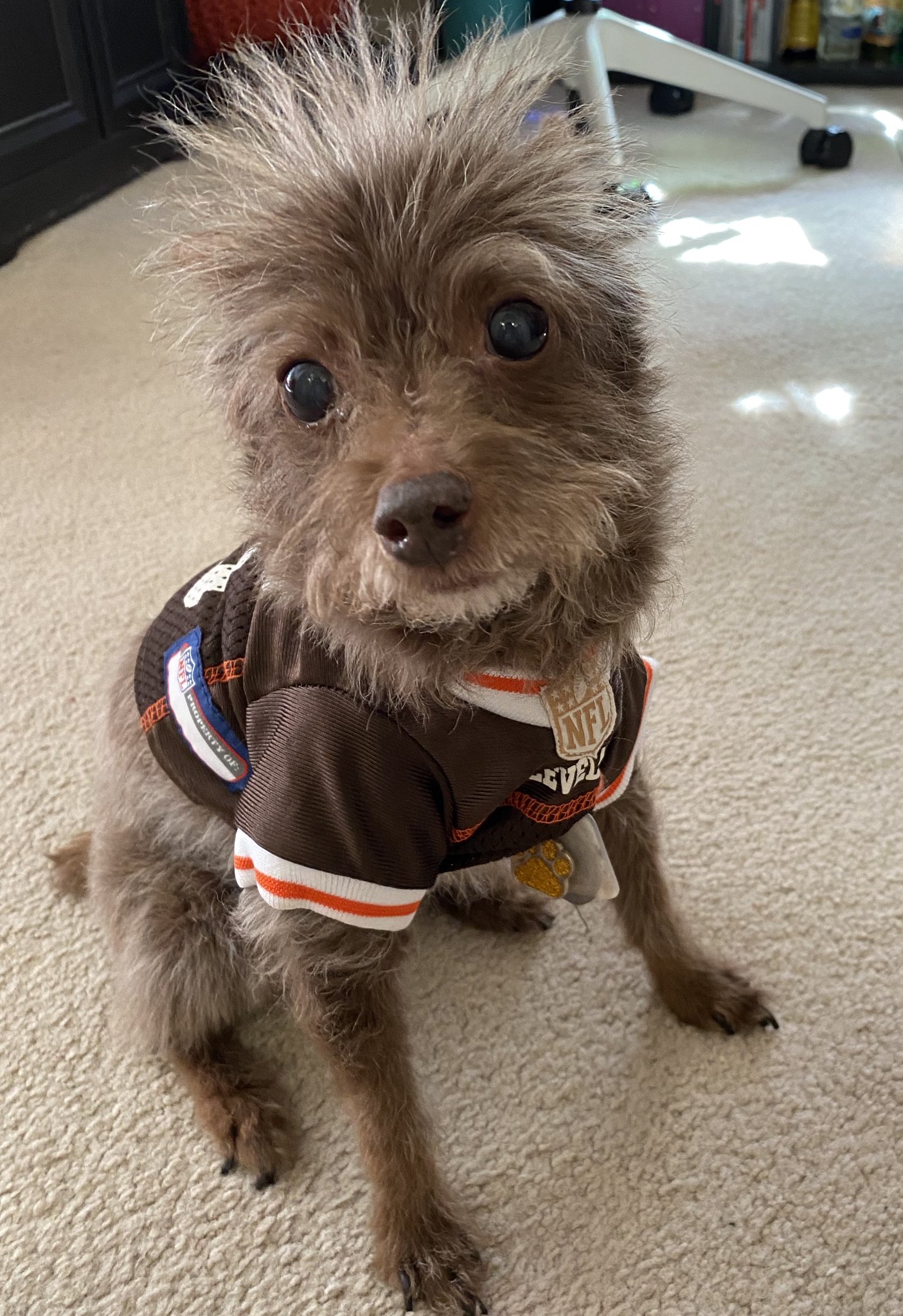 My Bernie Kosar wishes a Happy Happy Birthday!  