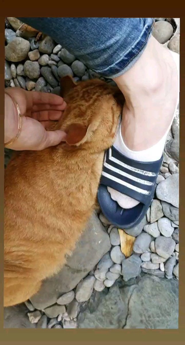 Today Jaejoong presented us his new image, so I'm also giving you the feet in their new look. Yes, they dressed up.