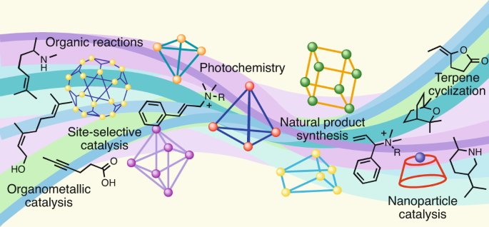 ChemistryNews's tweet photo. Advances in supramolecular host-mediated reactivity https://t.co/3kN3vCaDG3 https://t.co/XHKmlAYqCh