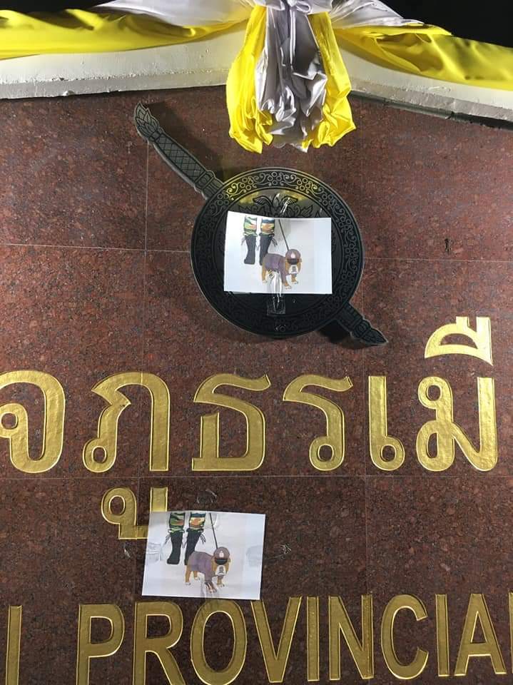 สุนัขรับใช้