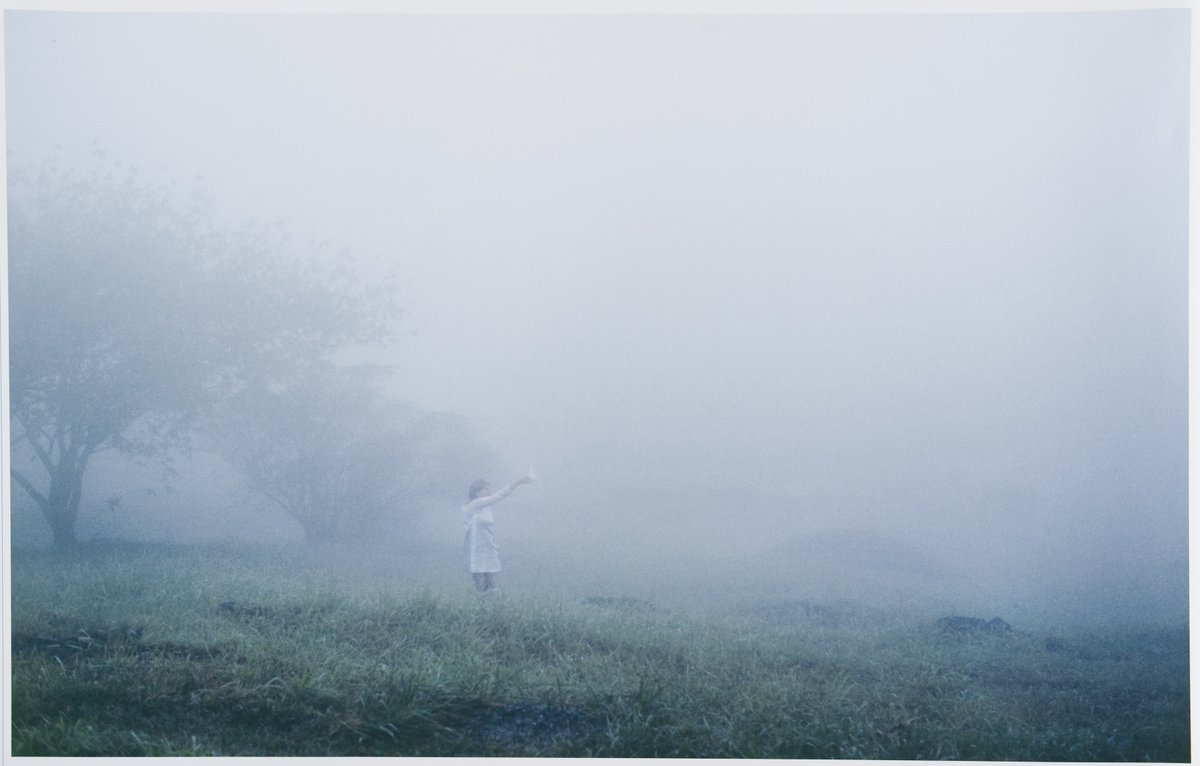 mimauseful's tweet photo. Brazilian artist #BrígidaBaltar tries to capture the intangible in her collection of works #CollectingMist. We look at Mist Collecting # 01 (1988) in this week's #CollectionReflection. Read here: https://t.co/GarfSpWFJ6 #MiddlesbroughCollection #TeesValley https://t.co/9PnOGHJHdl