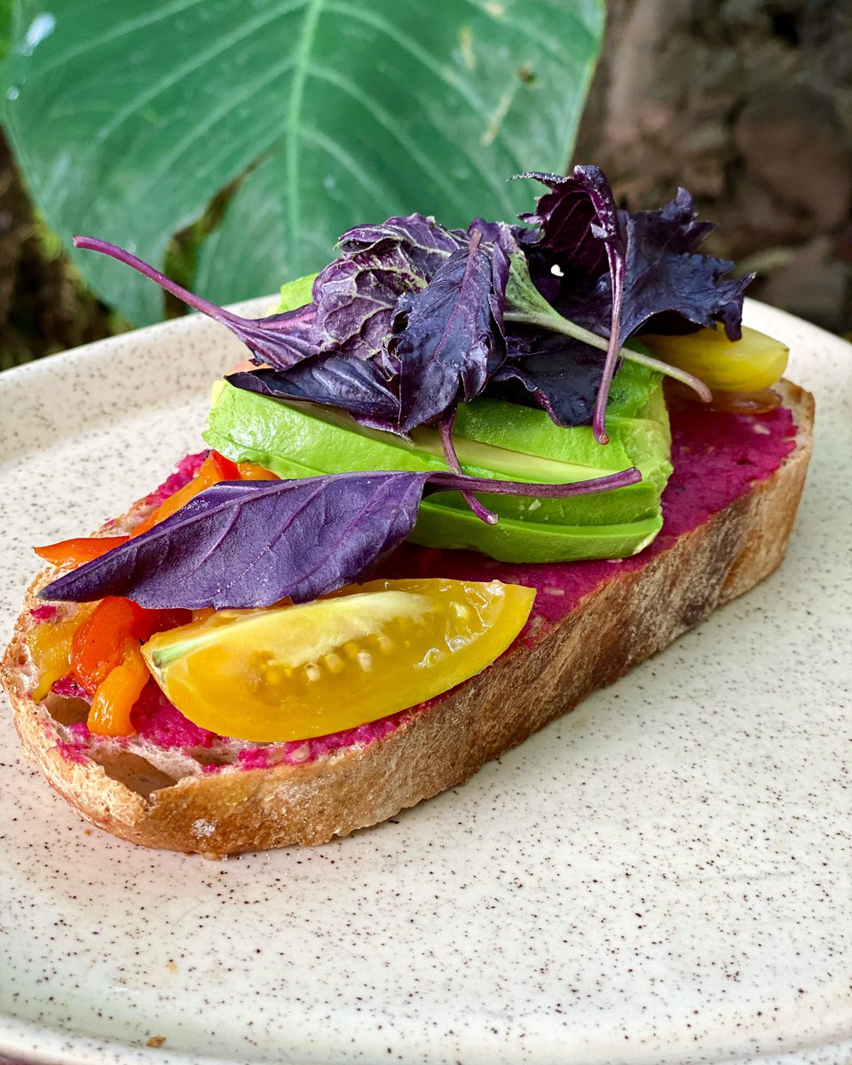 PaolaNorman's tweet photo. Y hablando de cosas bonitas, un desayuno sin filtros en #FlorDelNorte: tosta con hummus de betabel, pimientos, cebolla caramelizada, aguacate, tomates y albahaca del huerto 💚💜🧡💛.
¡Buenos días desde #CasaFernanda, en #Tepoztlán, #Morelos! ☀️ https://t.co/ss4SkgDcsS
