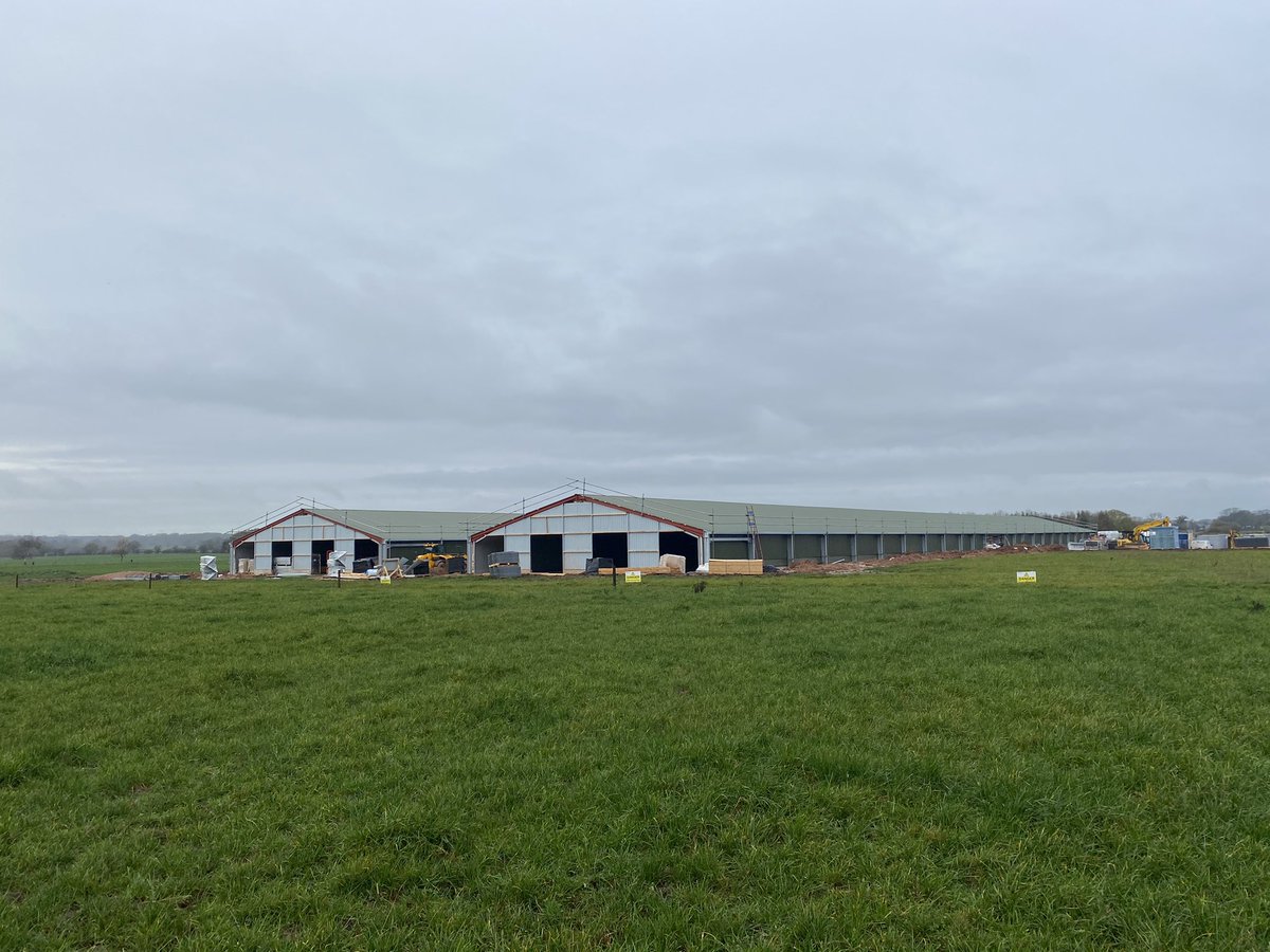 Fab progress being made at our new poultry unit in Staffordshire despite the wet weather #poultry #welfare #newvuild #freerangeeggs