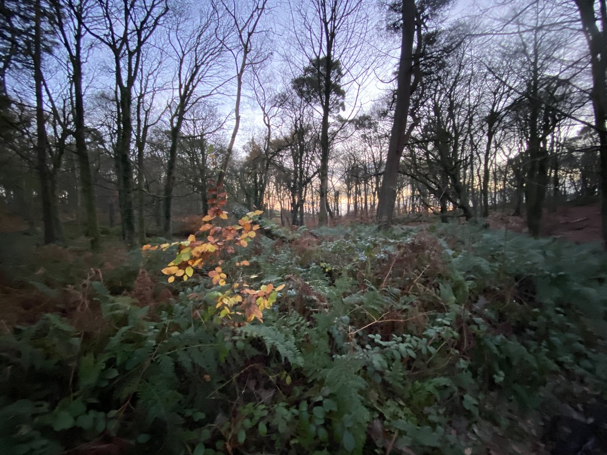 StevenMorgan40's tweet photo. @clandeboye #helenstower #trailrun #mud @wearetrekni @Dr_FaithG 🙏@barrabest @WeatherCee @angie_weather @linzilima @bbcweather @BBCWthrWatchers @newslineweather https://t.co/eI7qZx3UaS