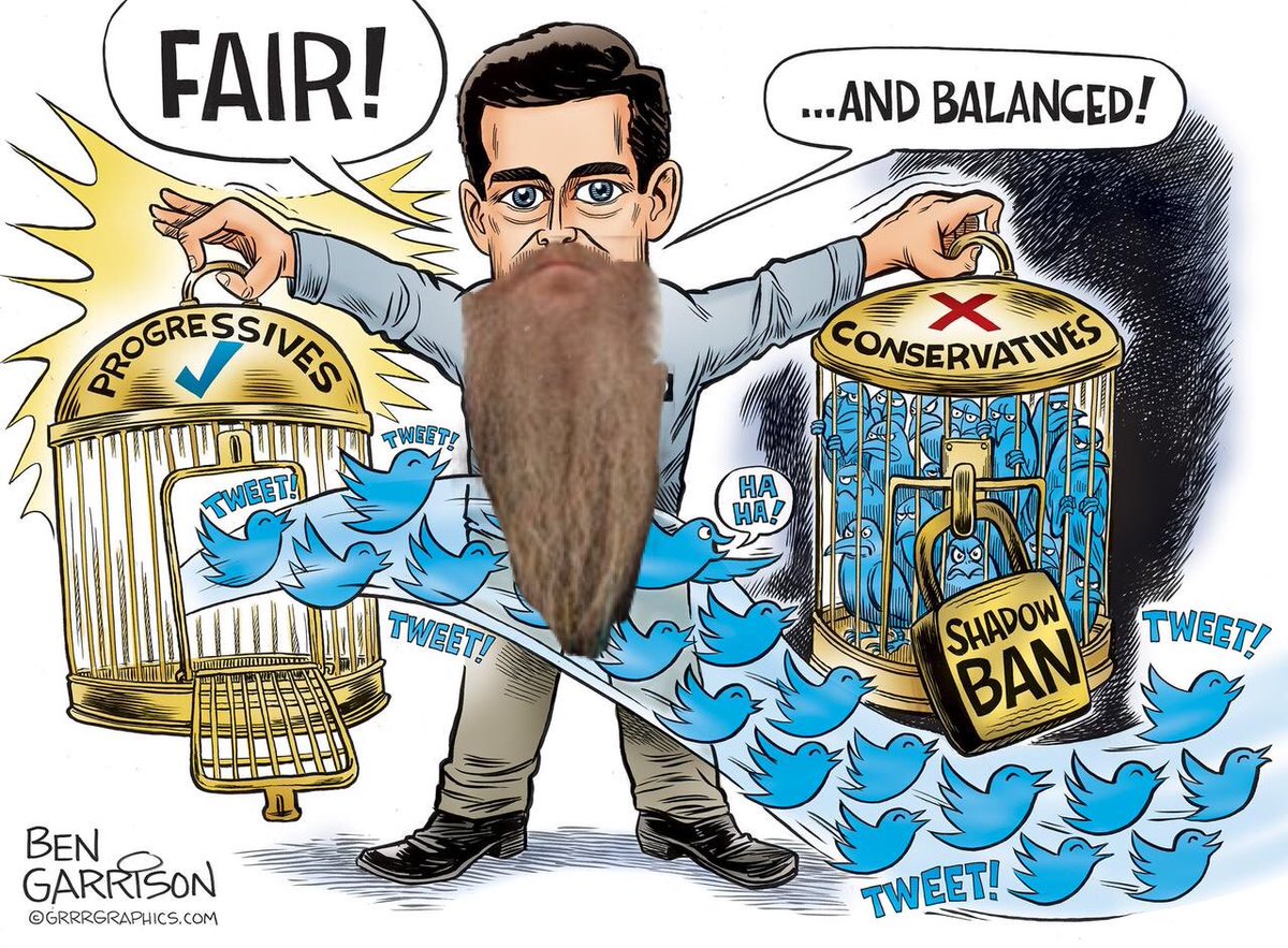 IllinoisExposed's tweet photo. Iโve begun blocking sender of every promoted tweet in my timeline. @Jack a$$ will NOT make money off me! #BlockPromoted #CensorTwitterAds #CountAllLegalVotes https://t.co/TF4aAQBynL