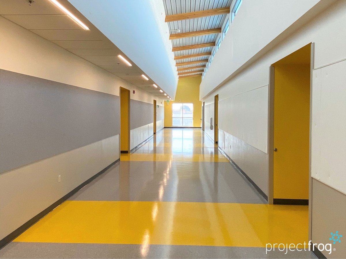 ProjectFrog tweet media