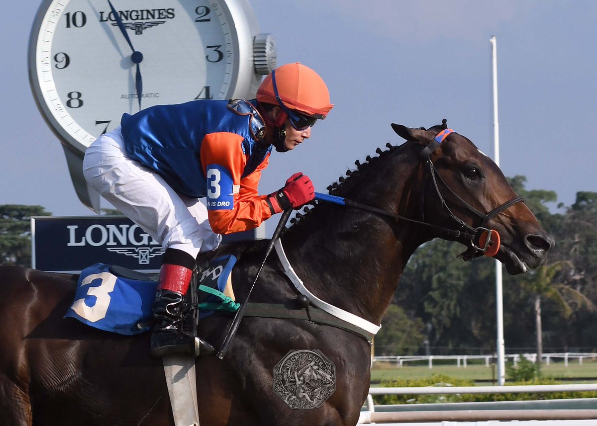HipodromoSI's tweet photo. En el @HipodromoSI se disputó el #ClásicoEmbrujo (L - 1600 metros), donde se impuso #RulesOut (Roman Ruler), del #Stud @lasmonjitaspolo, entrenado por #CarlosDEtchechoury y conducido por #AltairDomingos.
#SomosHSI #DondeCorrenTusEmociones https://t.co/J3oI8kaFNh