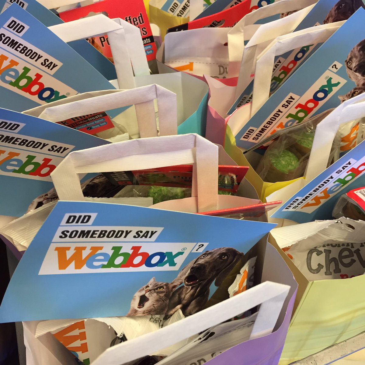 anchorshound's tweet photo. There's no #anchorshoundofthemonth this month-there'll be 10! It's been a rubbish time with 'Lockdown 2.0', so @webboxpetfood have helped us create some care packs to give away! Share a photo/video of your dog, along with a few words of how they've been coping with lockdown 💓🐶 https://t.co/i20i9UQd1z