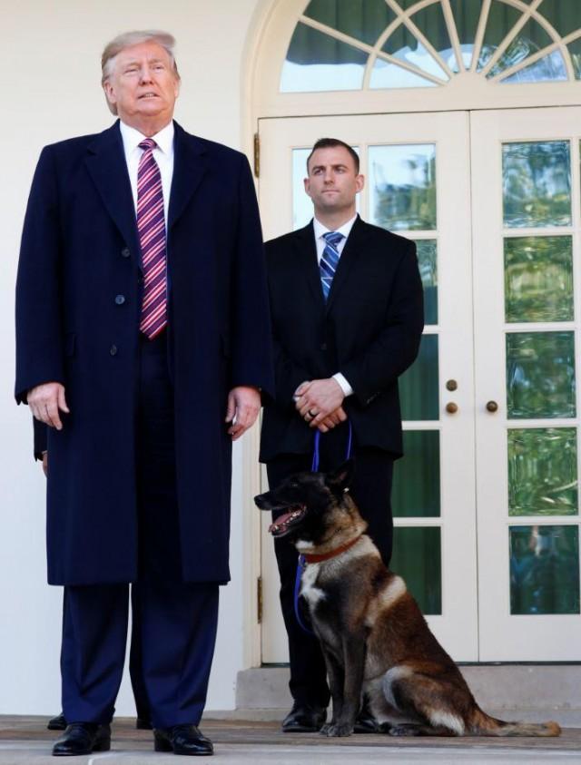 Michael_Zak's tweet image. President Donald Trump and heroic Special Forces dog, Conan thhttps://grandoldpartisan.typepad.com/blog/2020/11/trump-conan.html #alBaghdadi