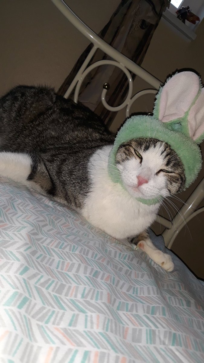 Hawt_dog (@hawtdog17) on Twitter photo 