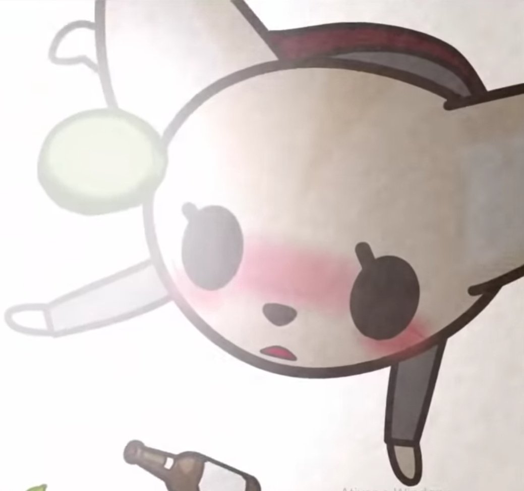 fenneko in the sky o boy where she goin