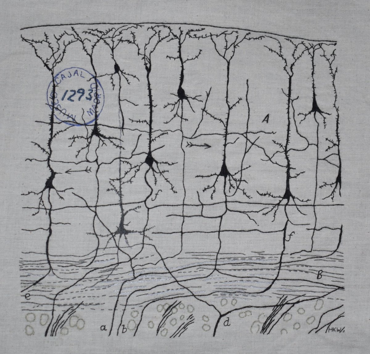 NeedlesNeurons's tweet photo. Here is my finished Ramon y Cajal embroidery! See thread for closer details 🧵🪡 1/6 https://t.co/3E0Eu9Pz03