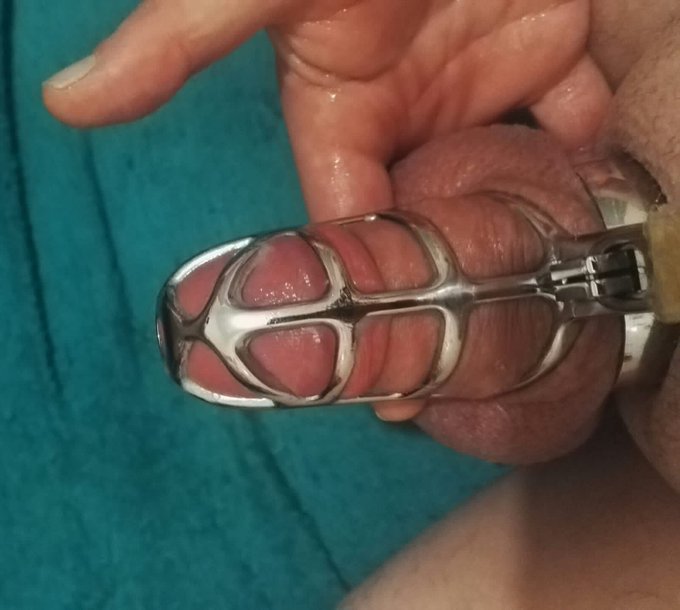 #mistress is very happy seeing her #locked #cock straining whilst #caged. He's turning into a good #sub<a href="/tag/mistress"class="tags">#mistress</a><a href="/tag/locked"class="tags">#locked</a><a href="/tag/cock"class="tags">#cock</a><a href="/tag/sub"class="tags"><span>#sub</span></a><a href="/tag/caged"class="tags"><span>#caged</span></a><a href="/tag/cum"class="tags"><span>#cum</span></a>