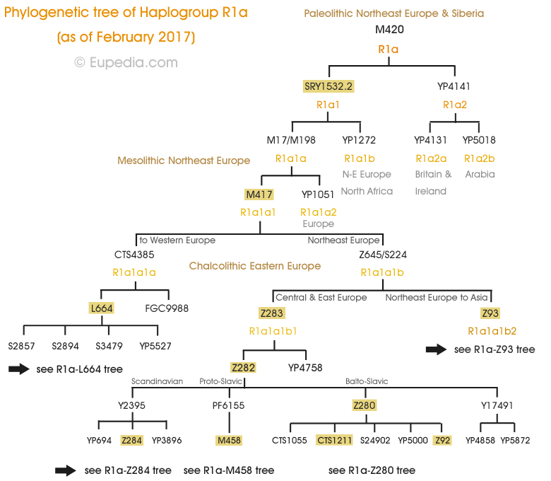 Charles Embury Tolkien, who was tested in 2010 at  http://ancestry.com , carries paternal lineage belonging to the R1a-Z92 haplogroup, more precisely YP351 subgroup. Very typically West Baltic!