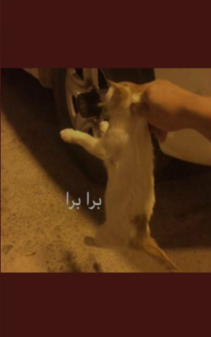 bz_qk0's tweet photo. @2f4__ ههههههههههههههههههههههههههههههههههههههههههههههههههههه https://t.co/W6aEOQ0n8T