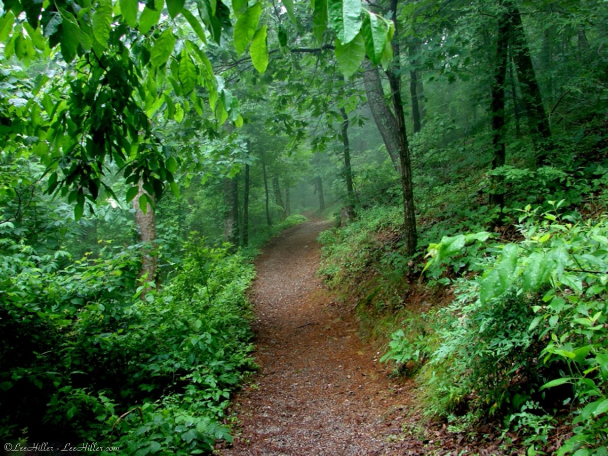 Dear <a href="/JoeBiden/">Joe Biden</a> 

Please pick an Interior Secretary with a deep seeded Love of our #publiclands This position needs a champion who will protect the beauty of these sacred spaces.

Sincerely,
Lee