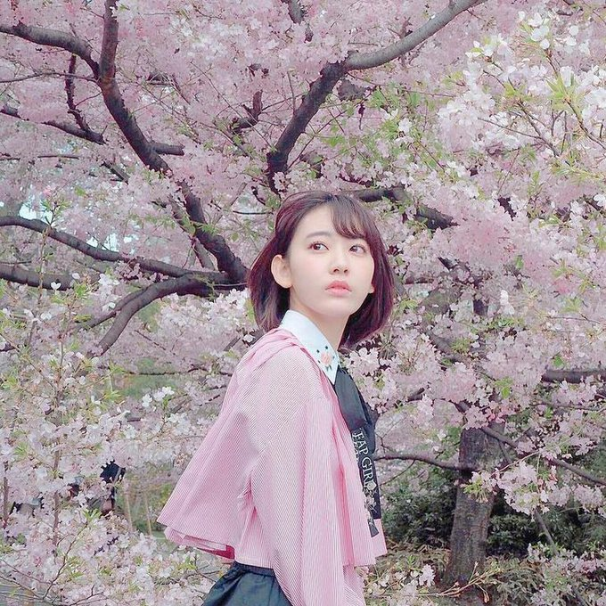 luvflwerr's tweet photo. ⁶ ↱`🧺
¡hey!, *hug* from sakura to 
@louderggukk 🍰 https://t.co/XgD4lUQvrp