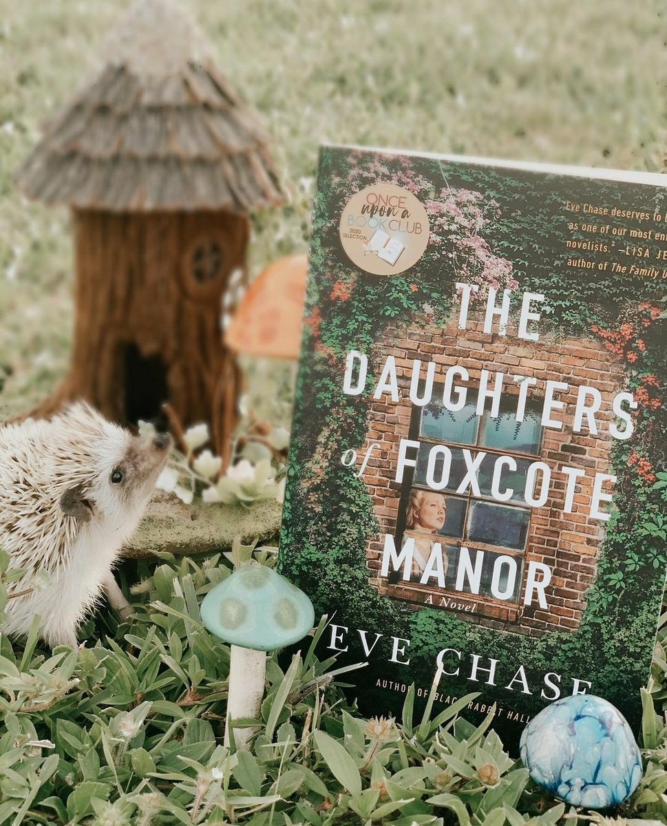 OUABookClub's tweet photo. How cute is this photo by @booksofthegram with her adorable little reading buddy!? Do you have any pets? Do any of them have literary names?
​
​📕 
​#onceuponabookclub #onceuponabookclubbox #booksandpets #readingiscool #booksconnectus #readeveryday #bibliophile #bookclubber https://t.co/q1mUir0k9v