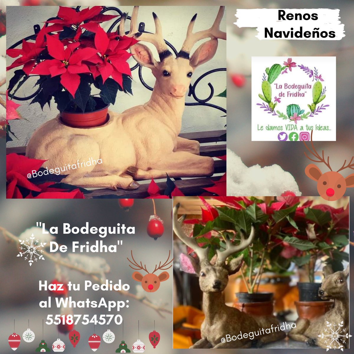 BodeguitaFridha's tweet photo. #RenosDeLaProsperidad 🦌🎄
Sorprende a esa persona especial, con estos hermosos "Renos de la Prosperidad" 🦌 
Decora ese espacio favorito y dale un toque navideño a tu hogar. Apoya al comercio local adquiriendo productos 100% mexicanos. 
🦌Reno 🌺Nochebuena y 🎁Bolsa para regalo https://t.co/EwdcD2cPsm