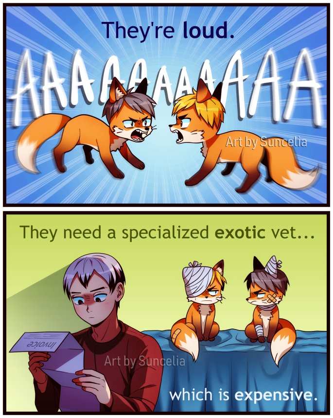#Haikyuu!! Reasons you don't want a pet fox (based on @juniperfoxx's tiktok) 