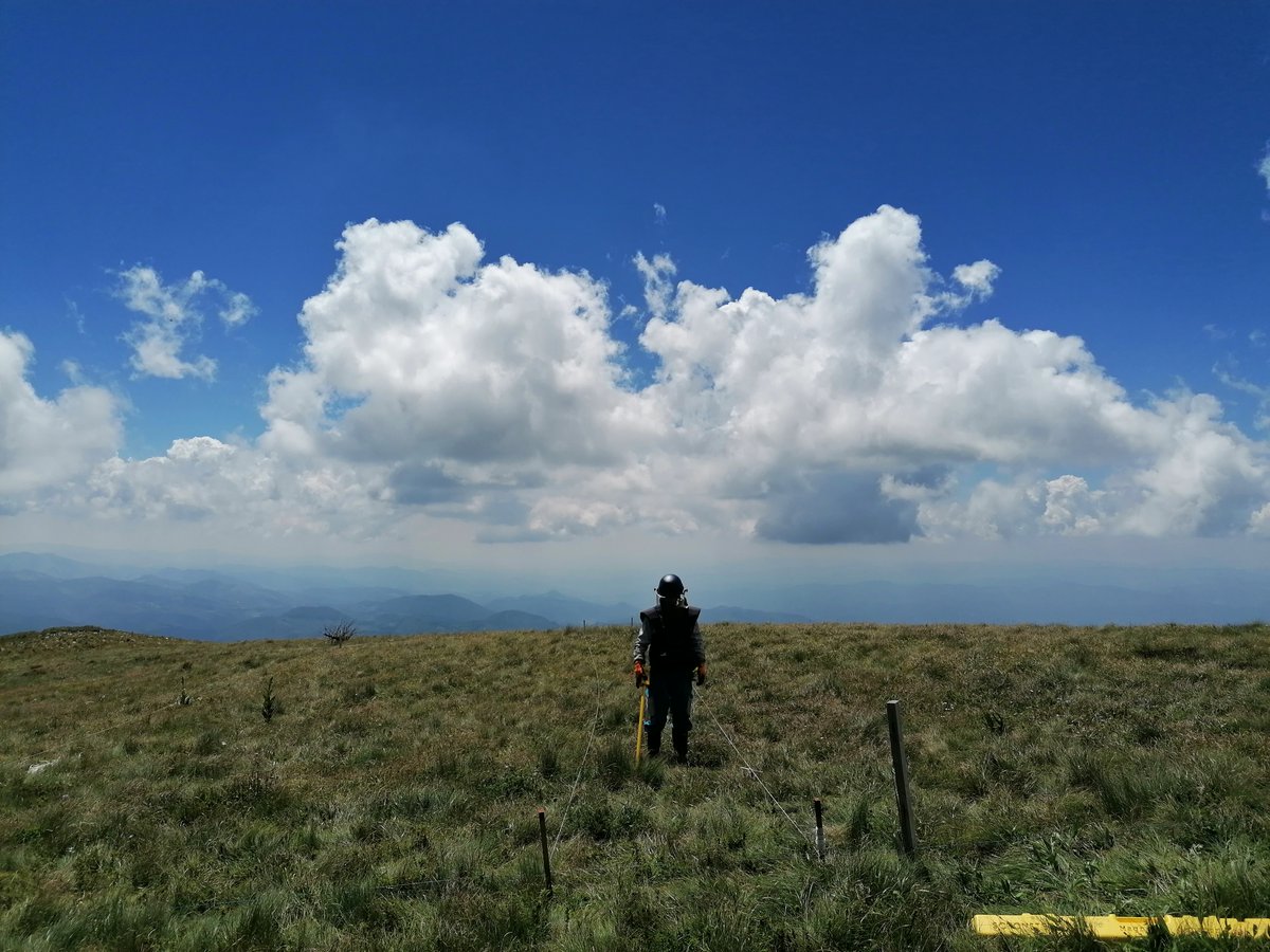 ITFsi's tweet image. The Second Review Conference of the @ISUCCM is underway, with participants assessing the progress made in the field of #ClusterMunitions clearance in the last 5 years and setting future goals.🤝#CCM2RevCon