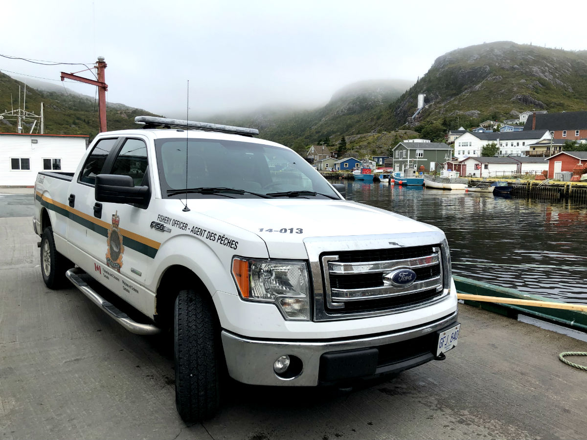 DFO_NL's tweet photo. 4/4 Investigations are ongoing, with a number currently before the courts. Should convictions be obtained, information will be available here: https://t.co/wqhRSGI8zs #NLSalmon https://t.co/6KZ3v5ldp8