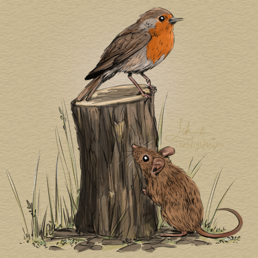 TheHighPaladin's tweet photo. Had an interesting encounter with an actual mouse last night, and it felt like it was time to draw one. So I did! And a cute robin friend from this morning, too! :D https://t.co/oUeLiyGCcs
