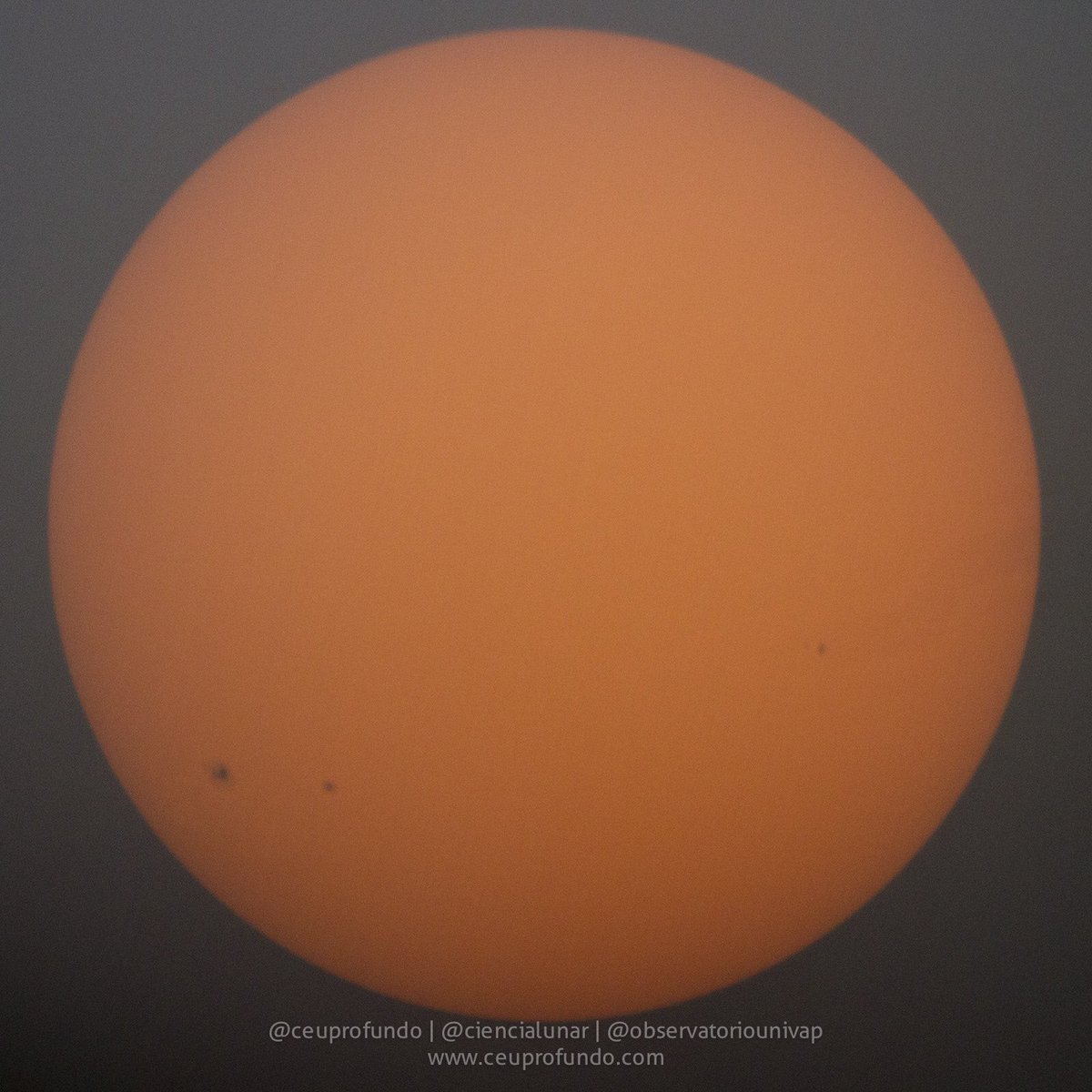 CeuProfundo's tweet photo. Seguimos acompanhando os grupos de manchas solares do ciclo 25 nas regiões ativas AR 2783, 2785 e 2786. Imagens registradas através de telescópio refletor de 200mm com filtro de polímero preto Thousand Oaks.
#AstroThreadBR #AstroMais https://t.co/xEMY7NxM6W