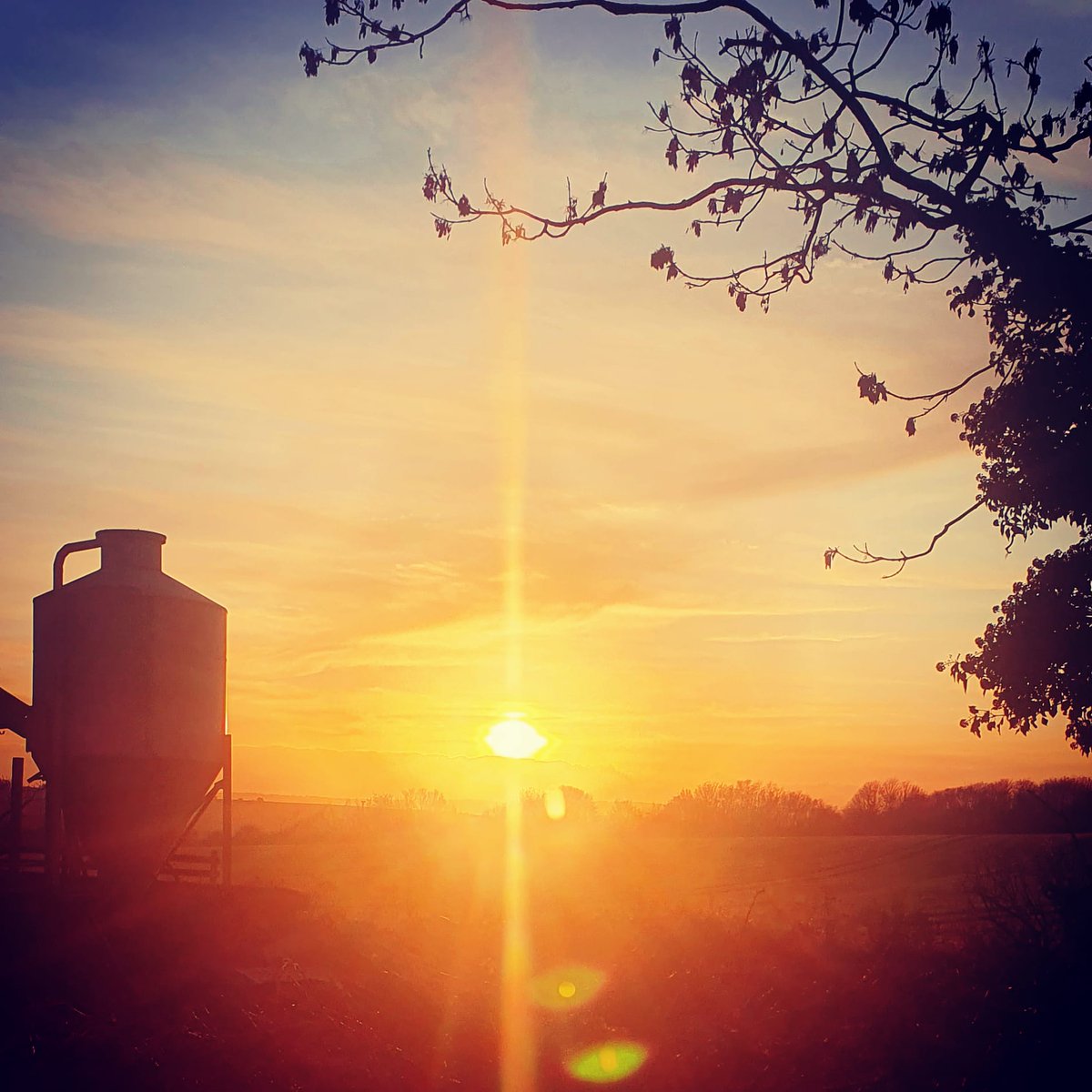 Brighter days ahead 🌲🤶🎅🌲Christmas order forms are in the ship