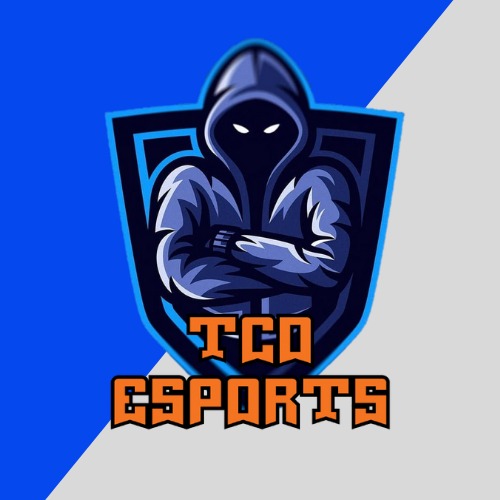 Fictional Trinity Esports Society (@TCD_esports) / Posts / X