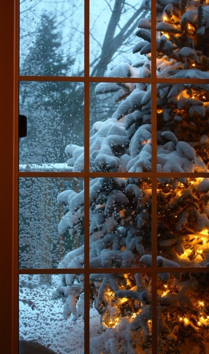 _Karhutar_'s tweet photo. ❄️ПОЧТИ ЗИМНЯЯ ЦЕПОЧКА ТВИТТЕРСКИХ🖤 

                 ❄️с тебя:

❄️читай меня (#взаимно)

❄️делай ретвит

❄️читай ретвитнувших

❄️будь взаимным

❄️начинай постепенно запасаться новогодним настроением 

*шутка про 0 рт на удачу*

#ЦепочкаФолловеров
#ЦепочкаТвиттерских https://t.co/S8BKSkAjsx