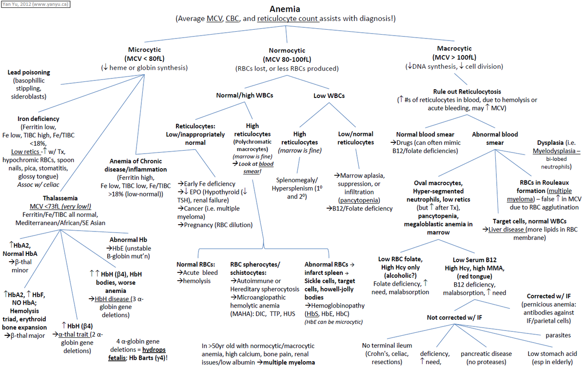 ManualOMedicine's tweet photo. Anemia - Differential Diagnosis . #meded #foamed #usmle #medtwitter #hematology https://t.co/8NZVXyUXIu