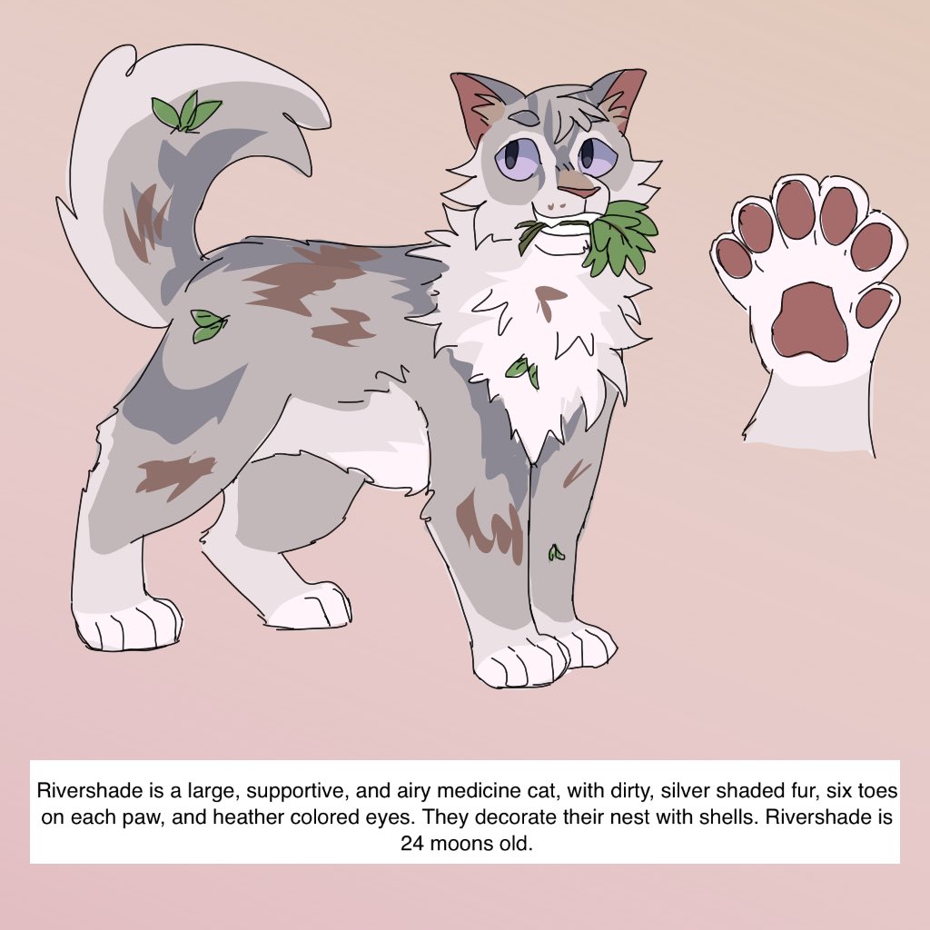 Warrior Cat Generator