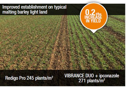 SyngentaUK's tweet photo. 💪 BBPA approved #VibranceDuo improved establishment on typical malting barley land in Crowland giving the crop the best start.
🛡️Protect your spring barley yield this season. #VibranceEffect https://t.co/cszeIKasGH