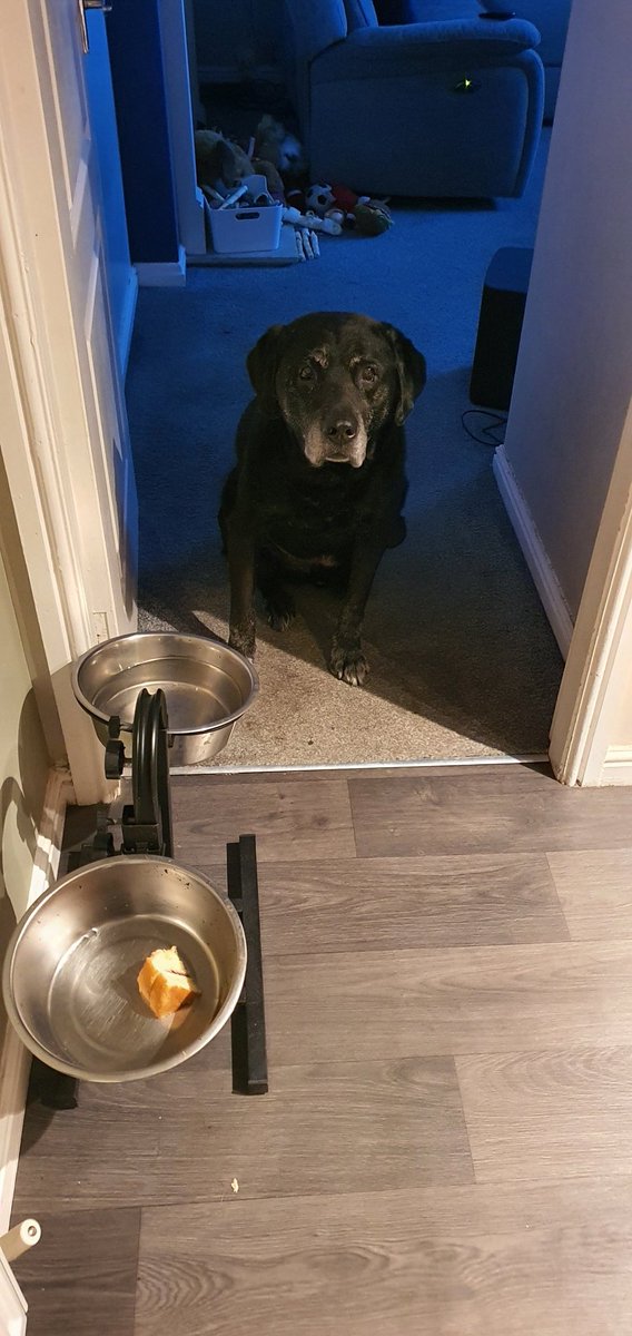 Its my 14th birthday 🎂,  and dad has bought my favourite cake.. still only a small piece for me 🤔 thanks dad 😋