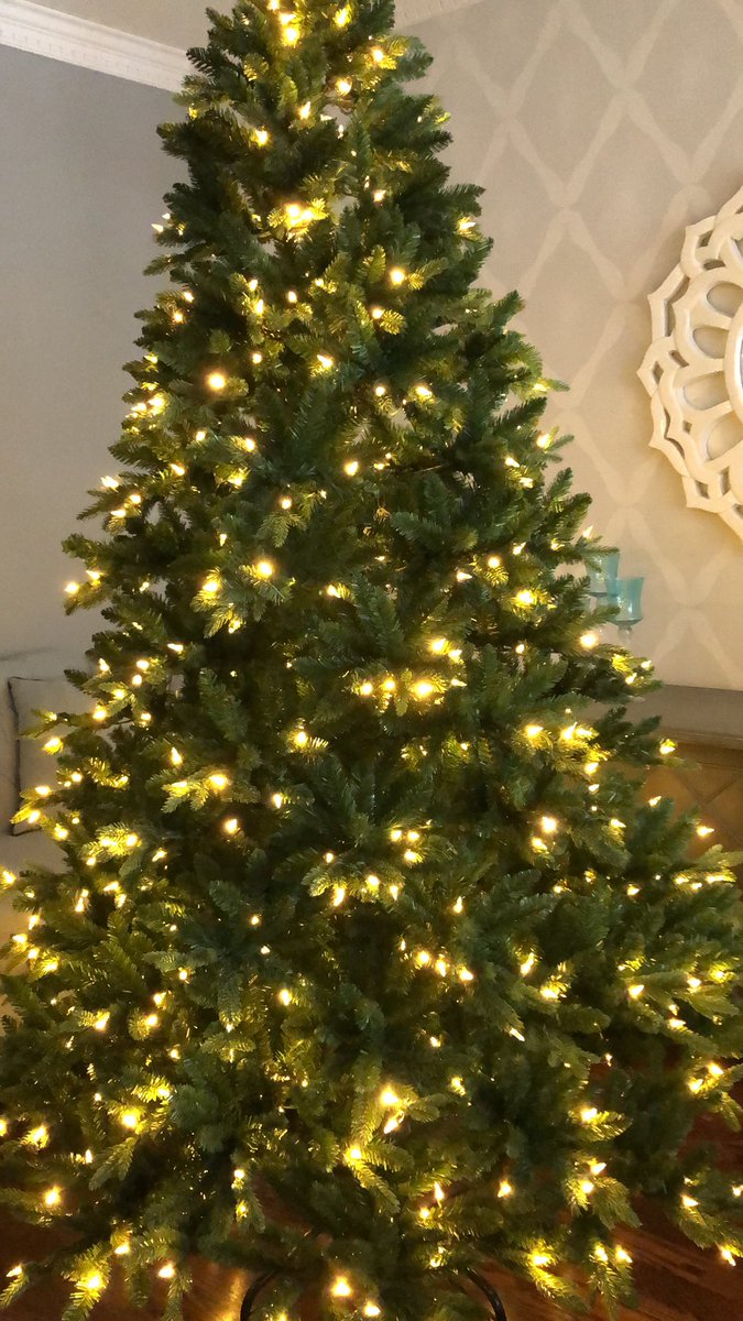 kayla_dim's tweet photo. Today I helped my dad put up our new Christmas tree that we ordered a few weeks ago. It was a continuation of another lesson where I taught my dad how to order things online. I also taught him how to leave a review online @YEPeducation #letsteachadults https://t.co/2mRhDGvIuV
