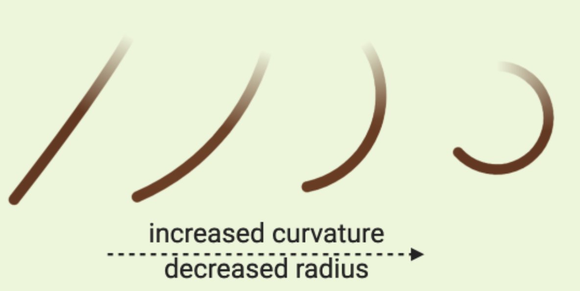 Curvature of a hair fiber refers to how tightly curled a hair fiber is. If you try to fit a circle to a curve, you can take the inverse of its radius, so: the smaller or tighter the curl, the higher the curvature.A straight hair has a radius of infinity and a curvature of 0