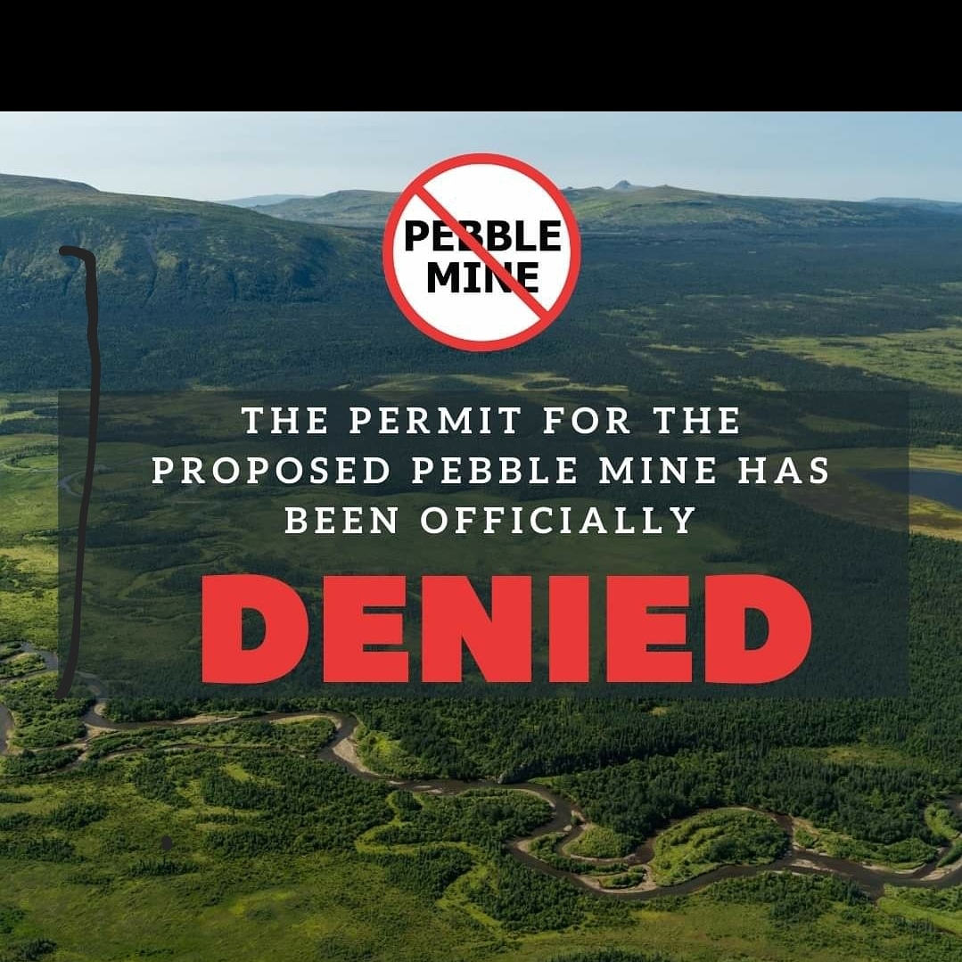 patrickdvsn's tweet image. 