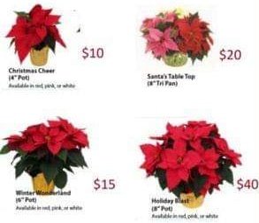 Seton Council tweet media