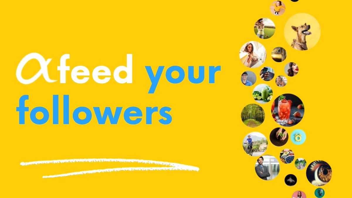 feedalpha tweet media