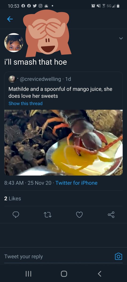 Imagine someone saying this to pics of your dog