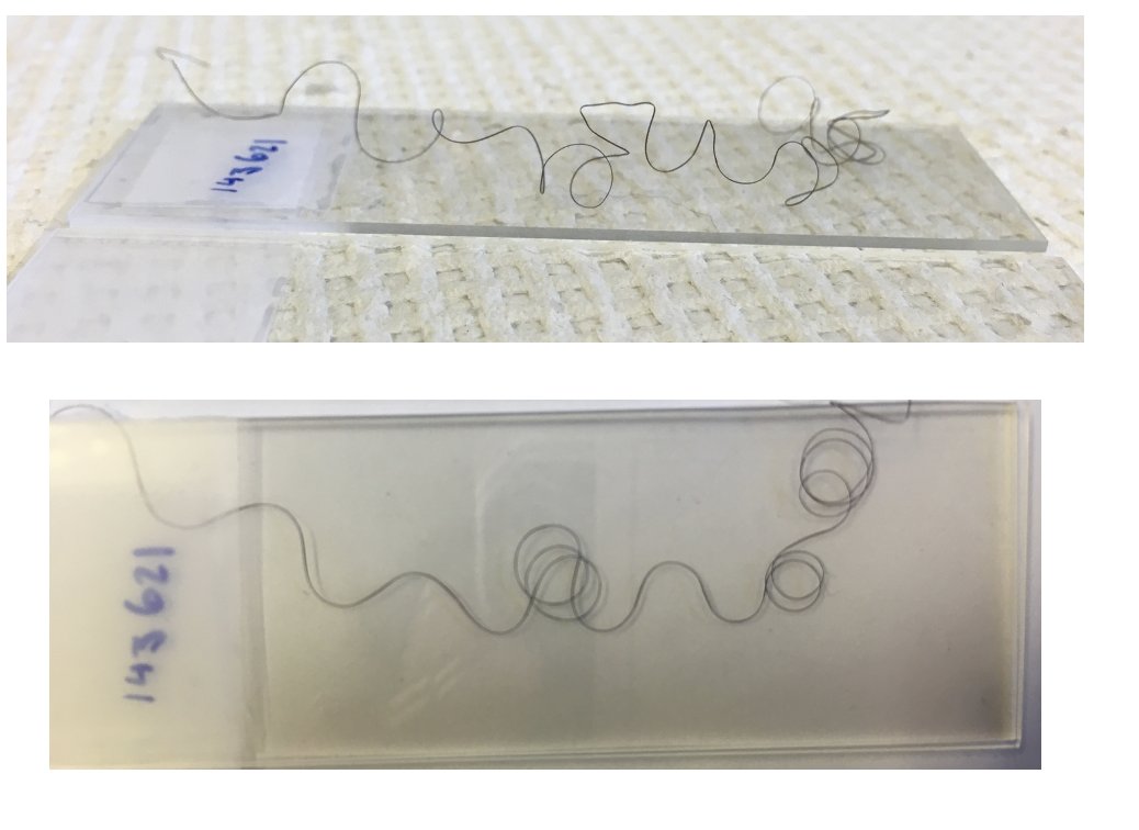 The main question is: how do you measure curvature in 2 dimensions when non-straight hair curls in 3 dimensions?Previously, the solution was to flatten it between glass slides and use a transparency with arcs of known sizes to figure out the curl radii. This is suboptimal.