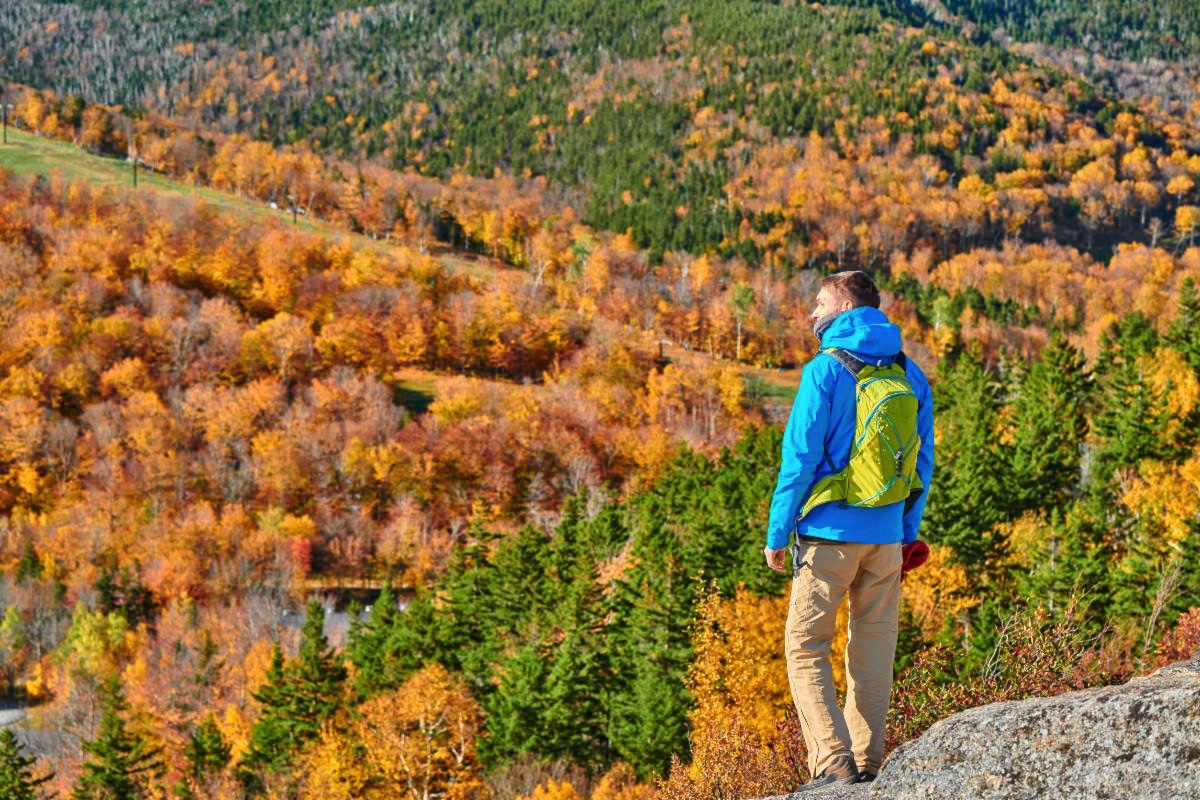 NEHearingLoop's tweet photo. Happy Thanksgiving! To our loyal customers: We thank you for our enduring relationships and for helping our company continue to grow. We wish you a fantastic Thanksgiving and a happy holiday season! https://t.co/pbGLhtNV6z