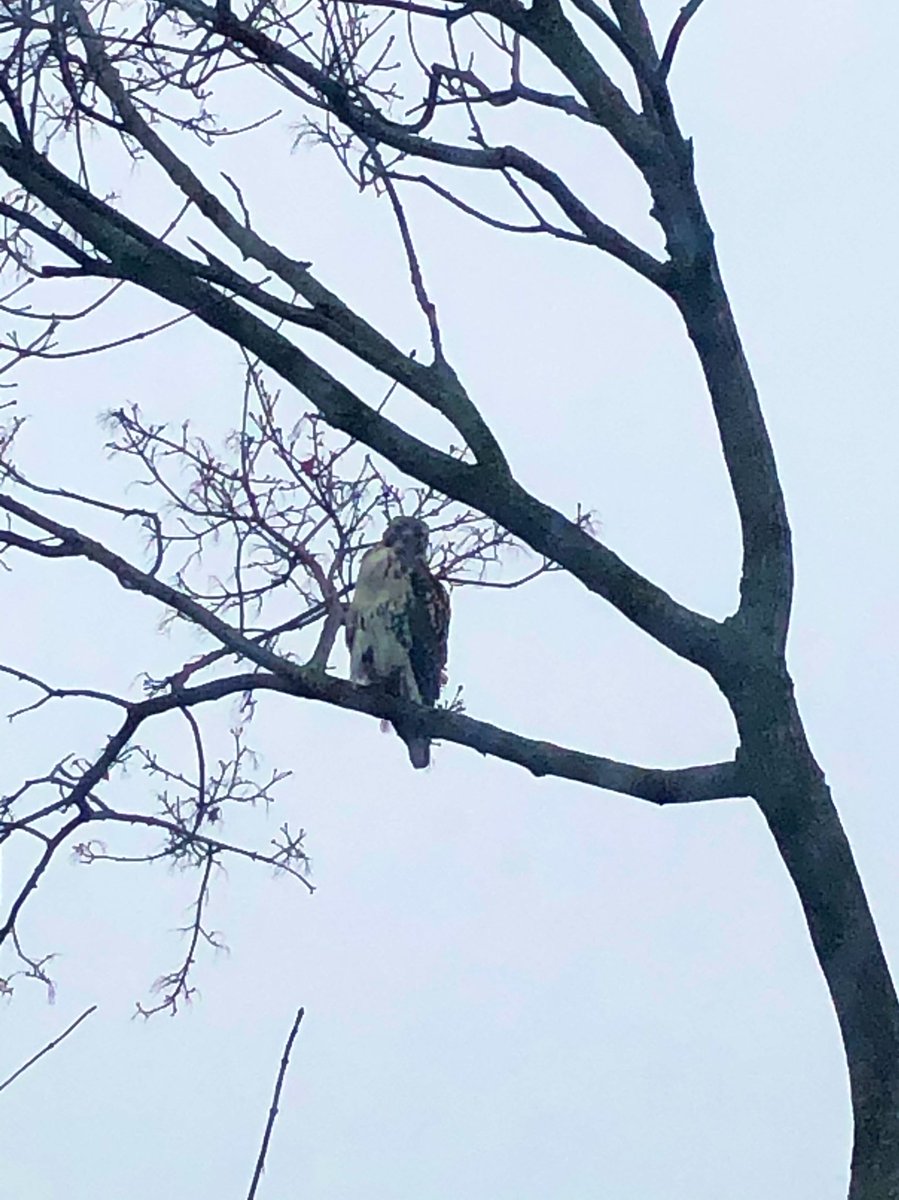 When your office mate won’t stop watching you 👀 #micromanager