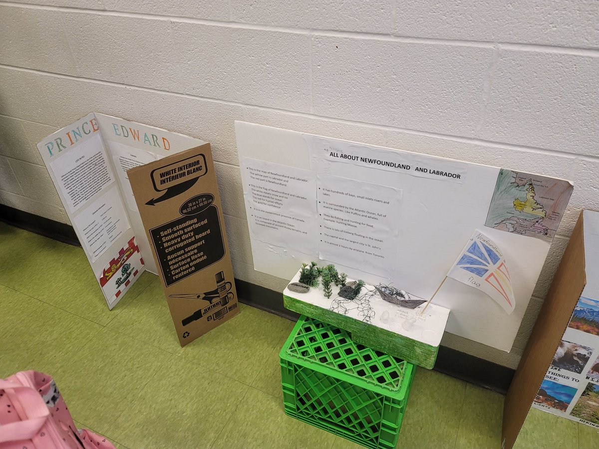 olftcdsb's tweet photo. Great work from @dreap31's Grade 4s. Amazing demonstrating of learning about 🇨🇦 's provinces and territories. #olflearns #tcdsb https://t.co/4qdRiOhrni