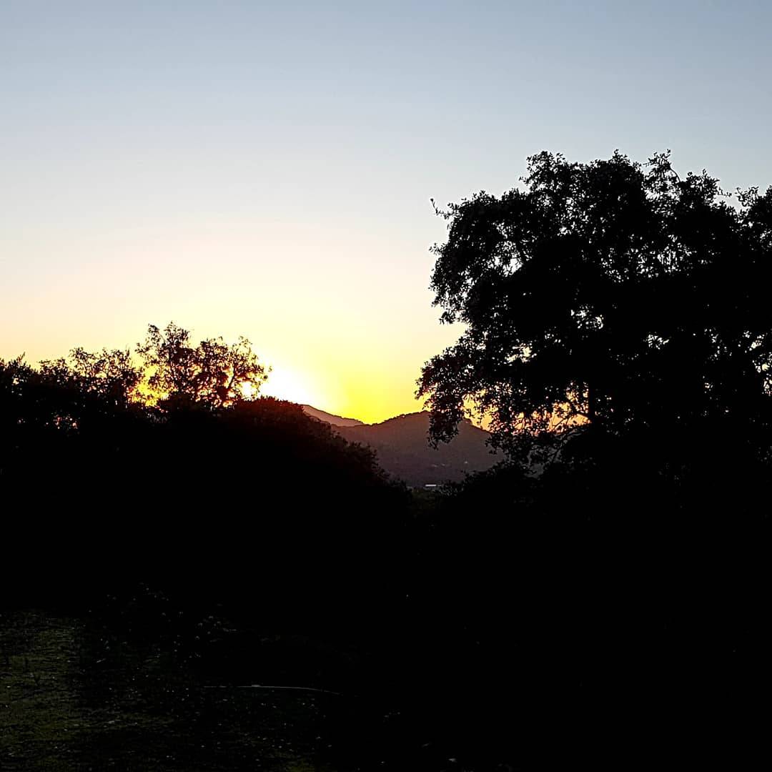 El fam trip de #Orniturismoparatodos concluyó visitando hermosas localizaciones de la parte española del proyecto el pasado fin de semana.

#Poctepenlosmedios #SierraMorenaOccidental #SierraNorte #SierradeAracena #Famtrip #TurismodoAlentejo #Andanatura