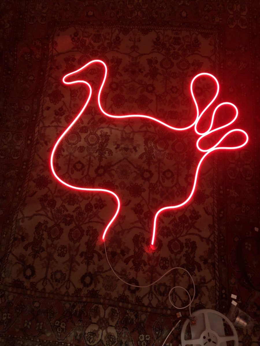 LEDEnviroLights's tweet photo. We are getting in the #Thanksgiving mood and having some fun with our RGB UltraThin LED #Neon!

We are thankful for our wonderful customers, the amazing people we work with and all the incredible projects we get to be a part of.

We hope you all have a safe and wonderful holiday! https://t.co/KFKfRu1io2