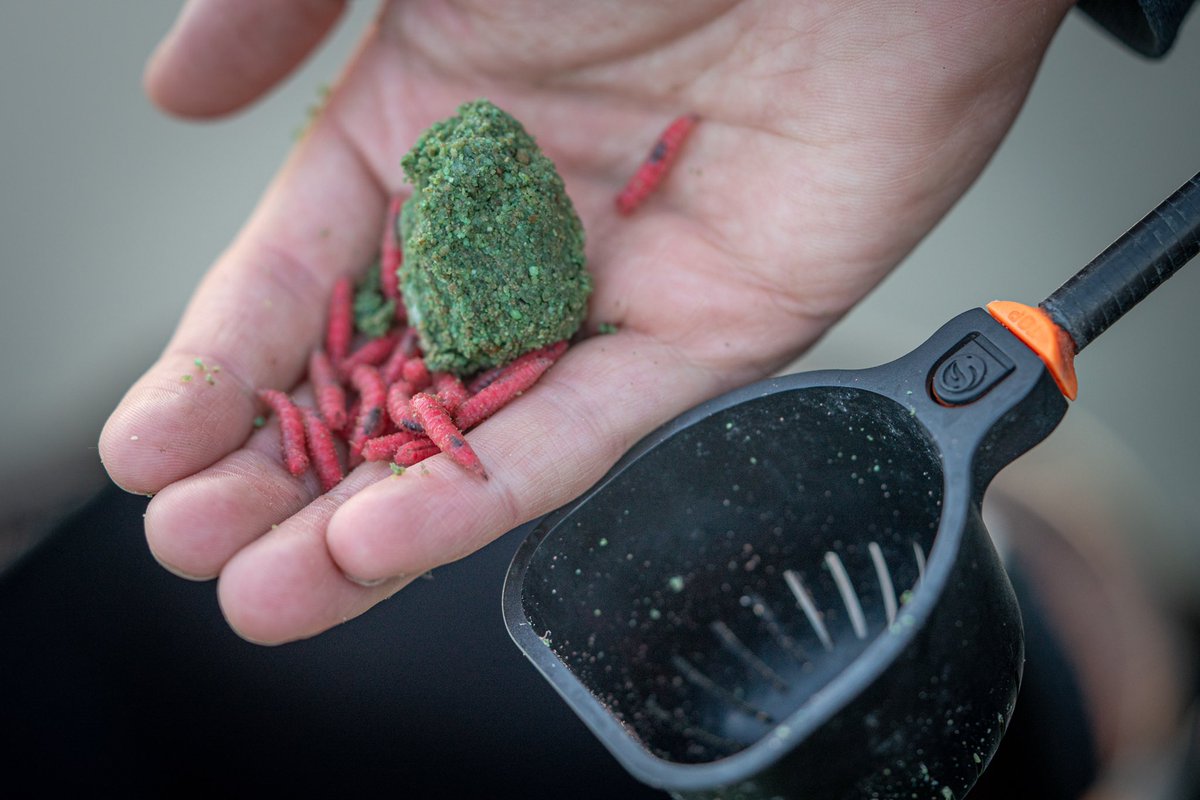 TackleGuru's tweet photo. Whatβs your favourite way to feed good old grubs? ππ€·π½π£ #maggots #polepot #fishing #matchfishing #catapult #fish #carpfishing #polefishing #sprinklelid https://t.co/KqcMqu5arl