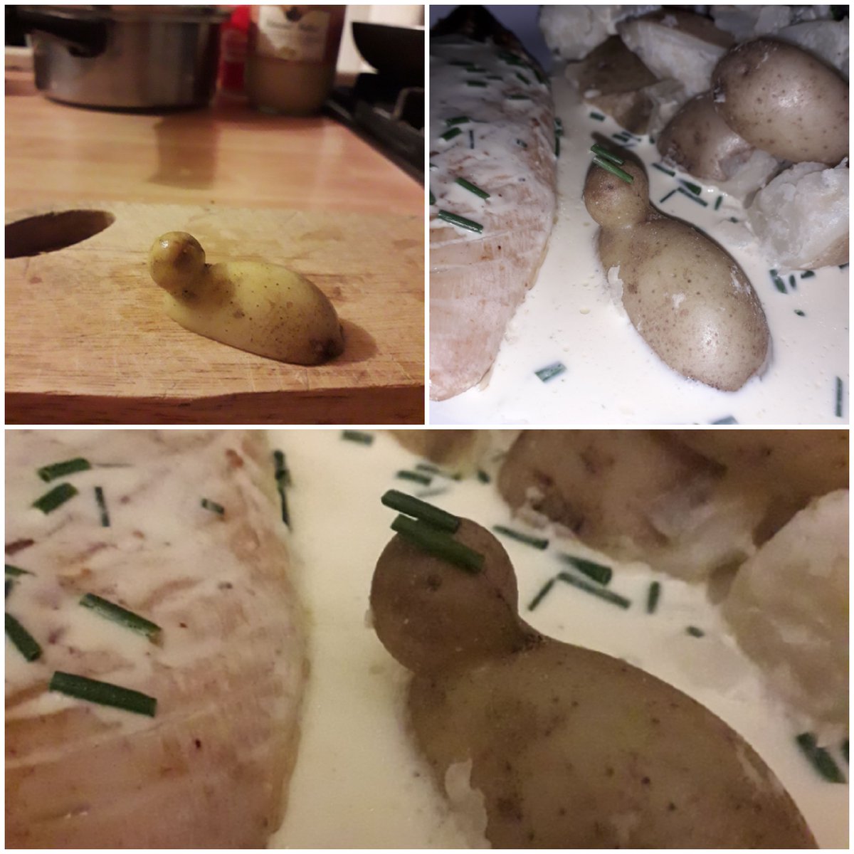 AteliersCortada's tweet photo. Home-grown. The before getting all dressed up and after.
Don't play with your food!
Your tatties are lovely!

@marshallcartoon would you reconsider working from photograps? Had I known I would have sent it to you but I just ate it 🙄

#friendlylocal #edinburghgarden #tatties https://t.co/obR2CqXhca
